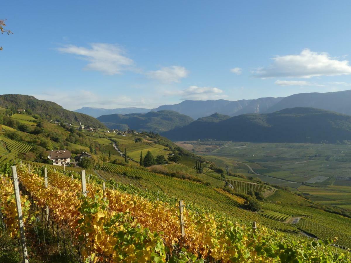 Апартаменты Sonnenhof Tramin - Adults Only Термено Экстерьер фото